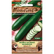 MORAVOSEED Üvegházi saláta uborka SATURN F1 - hibrid - Vetőmag