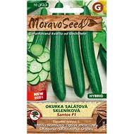 MORAVOSEED CZ Greenhouse cucumber SANTOS F1 - hybrid - Seeds