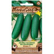 MORAVOSEED Fóliás saláta uborka SHERPA F1 - hibrid - Vetőmag