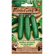 MORAVOSEED CZ Cucumber salad TWENTY F1 - hybrid, for greenhouse - Seeds