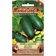 Salad Cucumber RAMZES F1 - Hybrid, on the Field - Seeds