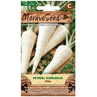 MORAVOSEED CZ Parsley root ALBA - Seeds