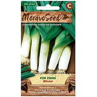 Leek Winter WINNER - Seeds