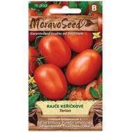 TERION Bush Tomato, Oval - Seeds