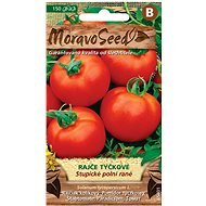 Vine Tomato STUPICAL FIELD MORNING - Seeds