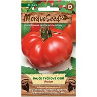 Giant BRUTUS Vine Tomato - Seeds