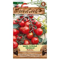 Cherry Tomato RUBINKA, Red - Seeds