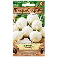 Round White Radish WHITNEY - Seeds