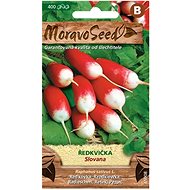 MORAVOSEED CZ Radish SLOVANA, cylindrical red and white - Seeds