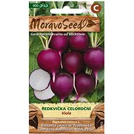 MORAVOSEED CZ Radish VIOLA, round purple - Seeds