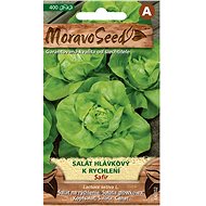 MORAVOSEED CZ Lettuce for quick cooking SAFIR - Seeds