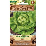 MORAVOSEED CZ Lettuce early AMUR - Seeds