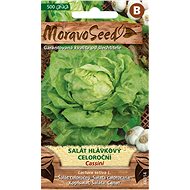MORAVOSEED CZ Lettuce all year round CASSINI - Seeds