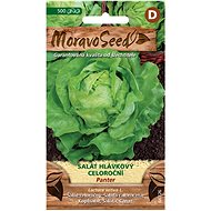 MORAVOSEED CZ Lettuce all year round PANTER - Seeds