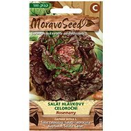 MORAVOSEED Fejes saláta egész évben termő piros ROSEMARRY - Vetőmag