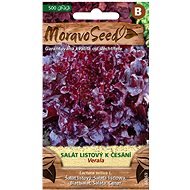 MORAVOSEED Tölgylevelű saláta piros VERALA - Vetőmag