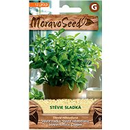 MORAVOSEED CZ Stevie sweet - Seeds