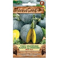 MORAVOSEED CZ Creeping gourd BLUE KURI, type Hokkaido - Seeds