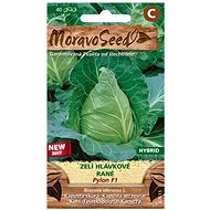 Cabbage Head Early PYLON F1 Pointed - Seeds