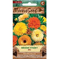 MORAVOSEED CZ Marigold, mixture - Seeds