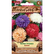 Chinese Tall Astra BUKETT, Blend - Seeds