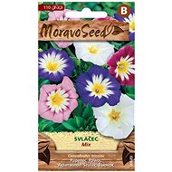 Tricolour Creeping Morning Glory, Mixture - Seeds