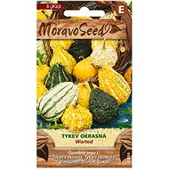 Decorative Gourd WARTED - Seeds
