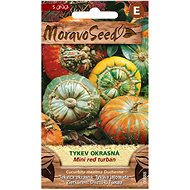 Decorative Gourd MINI RED TURBAN - Seeds