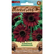 Sunflower Annual Simple, Red - Seeds
