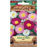 Paper Daisy Pink for Drying, Mixture - Seeds