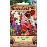 Fragrant Pea Creeping Low, Mixture - Seeds