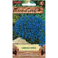 MORAVOSEED CZ Small low shell, blue - Seeds