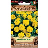 Marigold Full-flowered, Yellow - Seeds