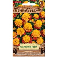 Marigold Full-flowered, Yellow-brown - Seeds