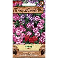 Verbena Crossed, Mixture - Seeds