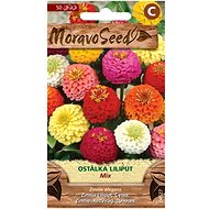 MORAVOSEED CZ LILIPUT, mixture - Seeds