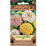 PEPPERMINT Adhesive Stick, Mixture - Seeds