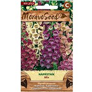 MORAVOSEED CZ Red foxglove, mixture - Seeds