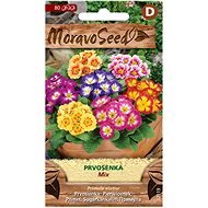 Primrose higher, mixture - Seeds