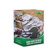 Seed Oyster mushroom 1l - Wood-Decay Fungi