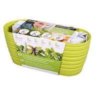 Growing set GARDEN SAHARA-MAJORÁNKA 27cm Green - Herbs