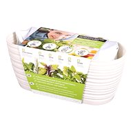 Growing set ZAHRÁDKA SAHARA-PETRŽEL KADEŘ.27cm - Herbs