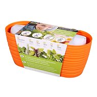 Growing set GARDEN SAHARA-ROSEMARY 27cm Orange - Herbs