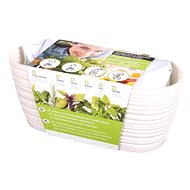 Growing set GARDEN SAHARA-THYME 27cm - Herbs