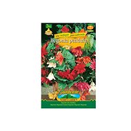 Begonia, mixture of 3 - Bulbous Plants