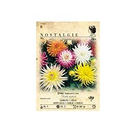 Cactus daisy, tall, mix 3pcs - Bulbous Plants