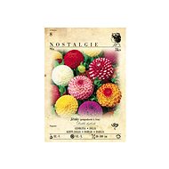St. George's Wort, mixture 3pcs - Bulbous Plants