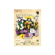 Nostalgie crocus 40pcs - Bulbous Plants