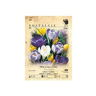 Nostalgie crocus 20pcs - Bulbous Plants