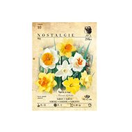 Daffodil 20pcs - Bulbous Plants